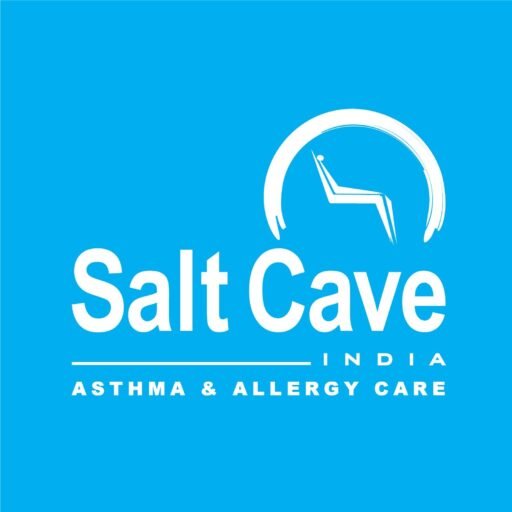 saltcaveindia.in
